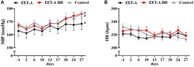 Epoxyeicosatrienoic Acid Analog and 20-HETE Antagonist Combination Prevent Hypertension Development in Spontaneously Hypertensive Rats